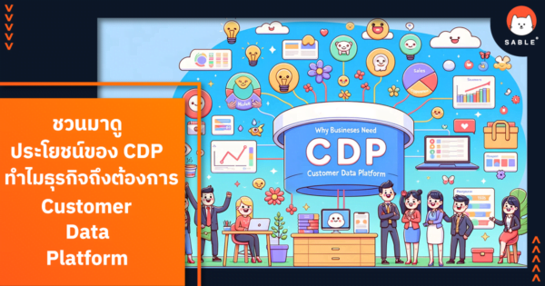 ประโยชน์ของ CDP ทำไมธุรกิจถึงต้องการ Customer Data Platform - SABLE