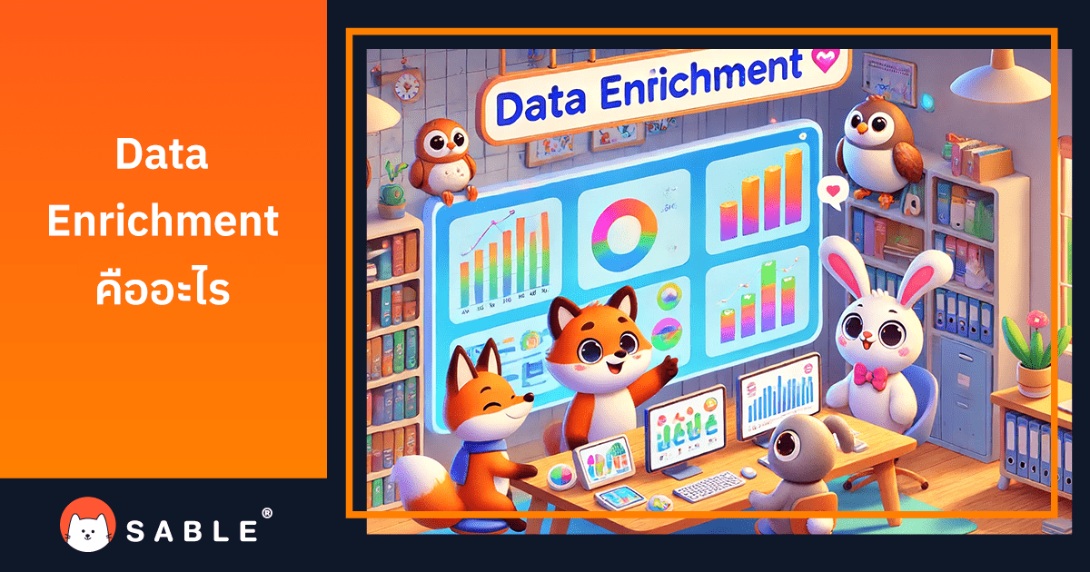 Data Enrichment คืออะไร